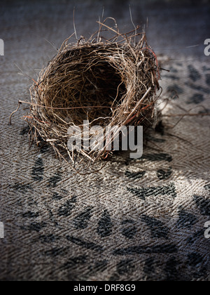 Maryland USA piccolo tessuto complessamente Bird's Nest Foto Stock