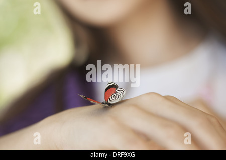 USA Utah bambino esaminando butterfly che ha sbarcato a portata di mano Foto Stock