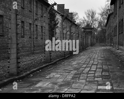 Recinto elettrico e la torre di guardia al campo di concentramento di Auschwitz in Polonia Foto Stock