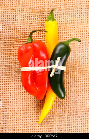 Bundle di peperoncino varietà di sfondo di iuta, vista dall'alto Foto Stock