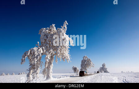 Krasny Les, Repubblica Ceca. 25 gennaio, 2014. Di automobili che circolano attraverso il bianco paesaggio invernale durante una giornata di sole in montagne Erz vicino a Krasny Les, Repubblica ceca, 25 gennaio 2014. Foto: Arno Burgi/dpa/Alamy Live News Foto Stock