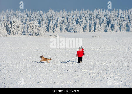 Krasny Les, Repubblica Ceca. 25 gennaio, 2014. Un pedone con un cane passeggiate attraverso il bianco paesaggio invernale durante una giornata di sole in montagne Erz vicino a Krasny Les, Repubblica ceca, 25 gennaio 2014. Foto: Arno Burgi/dpa/Alamy Live News Foto Stock