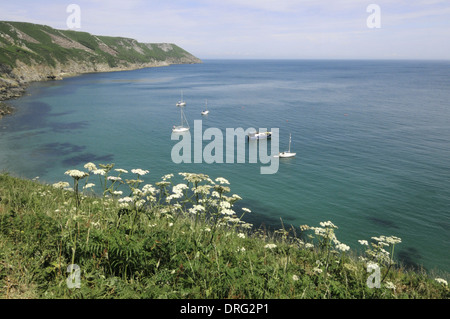 La baia di atterraggio e la east side, Lundy, Devon Foto Stock