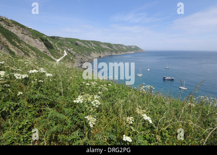 La baia di atterraggio e la East Side, Lundy, Devon Foto Stock