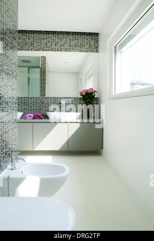 Bagno moderno di colore grigio Foto Stock
