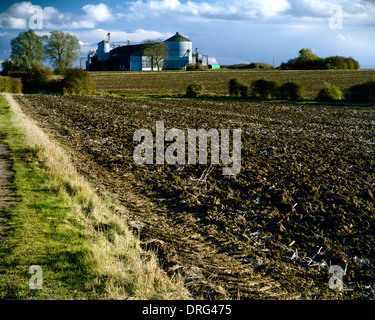 Silos per il grano e il campo arato in inverno in Cambridgeshire Foto Stock