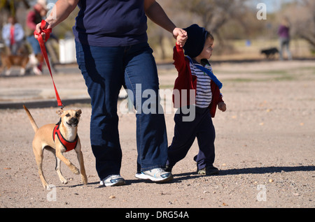 Una donna e suo figlio di due anni a piedi il loro cane in un parco. Foto Stock