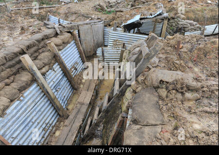 Charlwood, Surrey, Regno Unito. Il 25 gennaio 2014. Una vista della trincea di sistema creato da Andy Robertshaw su terreni agricoli in Surrey. Credito: Matteo Chattle/Alamy Live News Foto Stock