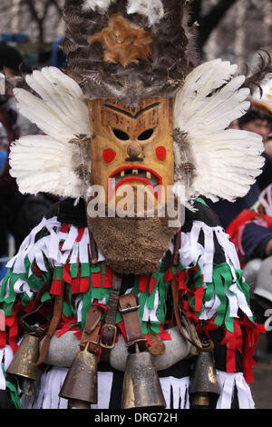 Pernik, Bulgaria - 25 Gennaio 2014: il ragazzo non identificato con il tradizionale costume Kukeri sono visti al Festival Internazionale di the Masquerade Giochi Surva in Pernik, Bulgaria. Surva avviene l'ultimo fine settimana del mese di gennaio ed è il più grande evento di questo tipo in Bulgaria. Foto scattata su: Gennaio 25th, 2014 Credit: Emil Djumailiev djumandji/Alamy Live News Foto Stock