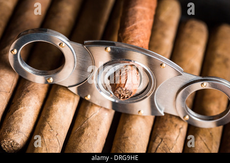 Primo piano della ghigliottina e punta di sigari Foto Stock