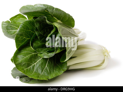 Due teste di fresco bok choi asiatica di cavolo nero su uno sfondo bianco. Foto Stock