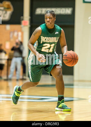 - DeLand, FL, U . 25 gennaio, 2014. S: Stetson Hatters guard Keara Finnerty (21) durante la prima metà della donna di pallacanestro del NCAA di azione di gioco tra Jacksonville i delfini e la Stetson Hatters presso il centro di Edmund in DeLand, Fl. © csm/Alamy Live News Foto Stock