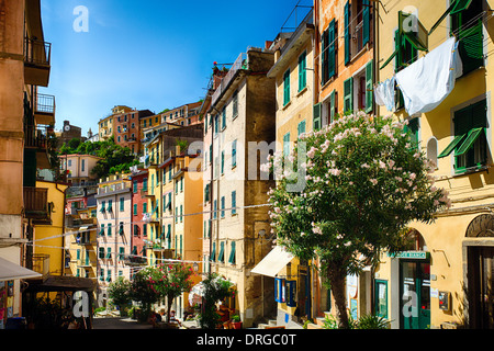 Strada colorato di Riomaggiore, Cinque Terre Liguria, Italia Foto Stock
