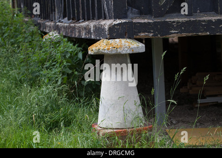 Sella di pietra angolare di supporto di un granaio. Firle station wagon, East Sussex. In Inghilterra. Regno Unito. Tappo a fungo frustra entrata da roditori. Foto Stock