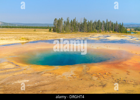 Hot colorata piscina geotermica, il Parco Nazionale di Yellowstone ,Wyoming Foto Stock