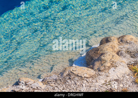 Hot colorata piscina geotermica, il Parco Nazionale di Yellowstone ,Wyoming Foto Stock