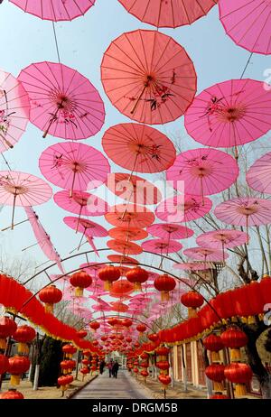 Zhengzhou, la Cina della Provincia di Henan. 26 gen 2014. Le decorazioni sono appesi a salutare la prossima festa di primavera che cade il 31 gennaio di quest'anno, in Kaifeng, centrale cinese della Provincia di Henan, Gennaio 26, 2014. © Zhu Xiang/Xinhua/Alamy Live News Foto Stock