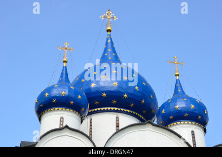 La Natività della Vergine nella cattedrale di Suzdal, Russia Foto Stock