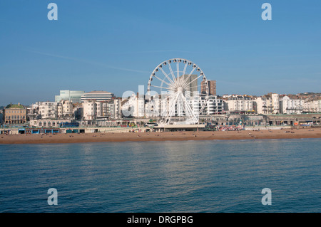 Ruota di Brighton a Brighton Foto Stock