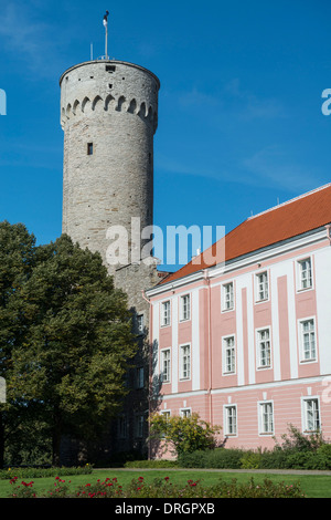 Tall Hermann Tower, l'edificio del Parlamento nel castello di Toompea, Tallinn Foto Stock