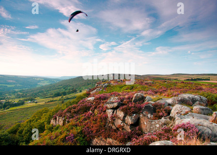 Parapendio oltre a heather-placcati Curbar Edge, nel buio area del picco del Parco Nazionale del Peak District, Derbyshire, Regno Unito Foto Stock