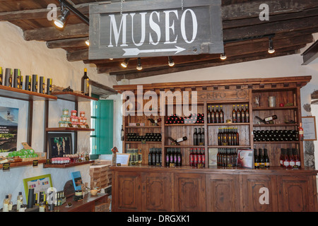 Visualizzazione dei vini in vendita all'interno del Museo del Vino El Grifo shop nella regione vinicola di La Geria, Lanzarote, Isole Canarie Foto Stock