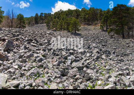 Rio de Piedras, Sierra del Tremedal, Teruel Aragona, Spagna Foto Stock