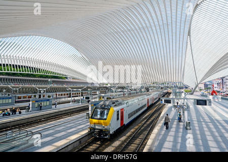 Belgio Liege Guillemins stazione ferroviaria dell'architetto Santiago Calatrava insolita tetto curvo in vetro in edificio moderno treno alla piattaforma della stazione UE Foto Stock