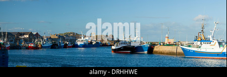 Attività di pesca i pescherecci con reti da traino a Howth Harbour, County Dublin, Irlanda. Foto Stock