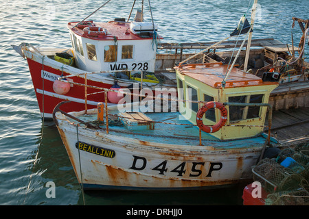 Barche da pesca in Howth Harbour, County Dublin, Irlanda. Foto Stock