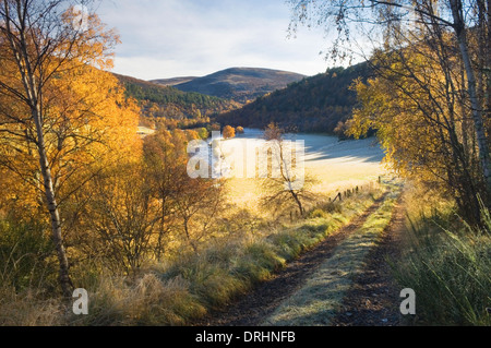 Glen Gairn su un gelido autunno mattina, vicino a Ballater, Deeside, Aberdeenshire, Scozia. Foto Stock