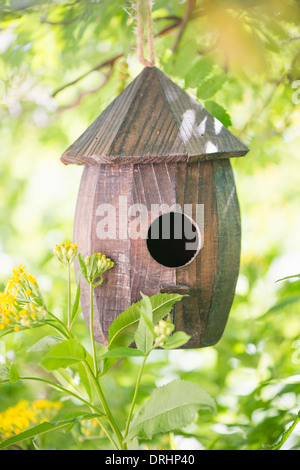 Birdhouse in legno pendenti da albero in giardino Foto Stock