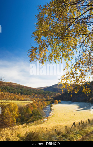 Glen Gairn su un gelido autunno mattina, vicino a Ballater, Deeside, Aberdeenshire, Scozia. Foto Stock