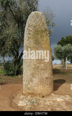 Il Portogallo. Vicino a Evora. Il Cromlech del Almendres. Complesso Megalitico: Cromlechs e menhir pietre. Neolitico. Foto Stock