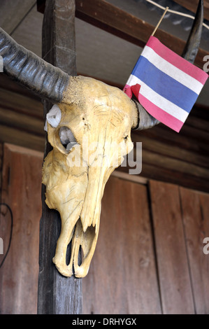 Bufalo d'acqua il cranio e la bandiera tailandese in una casa tradizionale in Kamphaeng Phet nelle pianure centrali della Thailandia. Foto Stock