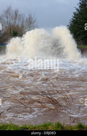 Burrowbridge, UK. 27 gennaio, 2014. Agenzia per l'ambiente di lavoro delle pompe per ridurre acqua di inondazione livelli sui livelli di Somerset. Venerdì Somerset County Council ha dichiarato di inondazioni in Somerset un 'modifica rilevante incidente. Credito: Andrew Johns/Alamy Live News Foto Stock