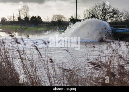 Burrowbridge, UK. 27 gennaio, 2014. Agenzia per l'ambiente di lavoro delle pompe per ridurre acqua di inondazione livelli sui livelli di Somerset. Venerdì Somerset County Council ha dichiarato di inondazioni in Somerset un 'modifica rilevante incidente. Credito: Andrew Johns/Alamy Live News Foto Stock