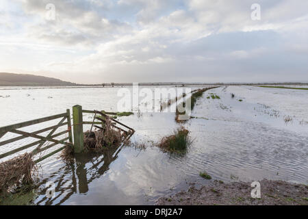 Parete di birra sluice, vicino Othery, UK. 27 gennaio, 2014. Gravi inondazioni del Somerset livelli a parete di birra sluice vicino Othery. Venerdì Somerset County Council ha dichiarato di inondazioni in Somerset un 'modifica rilevante incidente'. Credito: Andrew Johns/Alamy Live News Foto Stock