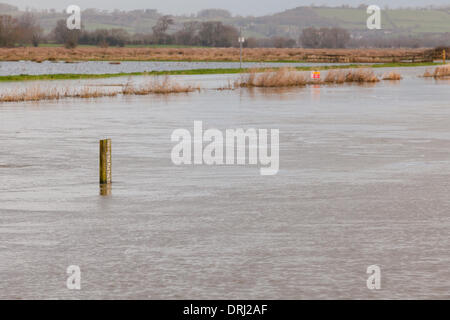 Parete di birra sluice, vicino Othery, UK. 27 gennaio, 2014. Gravi inondazioni del Somerset livelli a parete di birra sluice vicino Othery. Venerdì Somerset County Council ha dichiarato di inondazioni in Somerset un 'modifica rilevante incidente'. Credito: Andrew Johns/Alamy Live News Foto Stock