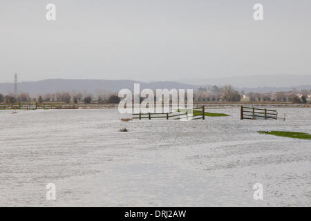 Parete di birra sluice, vicino Othery, UK. 27 gennaio, 2014. Gravi inondazioni del Somerset livelli a parete di birra sluice vicino Othery. Venerdì Somerset County Council ha dichiarato di inondazioni in Somerset un 'modifica rilevante incidente'. Credito: Andrew Johns/Alamy Live News Foto Stock