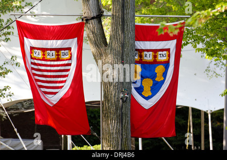 Le bandiere della Harvard Kennedy School e la Scuola di Diritto di Harvard come il cantiere è preparato per cerimonie di inizio in Cambridge, MA. Foto Stock