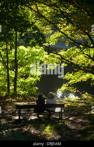 Un famoso Riverside bosco a piedi dal fiume Don, Aberdeen. Grampian. La Scozia. SCO 9266 Foto Stock