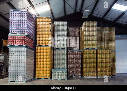 Stati Uniti d'America,Florida,Tampa,pattini di birra in un magazzino, un sigaro birreria della città Foto Stock