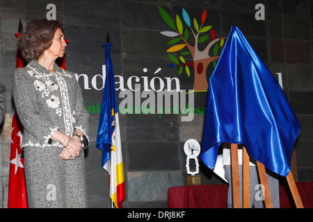 Madrid, Spagna. 27 gennaio, 2014. La regina Sofia di Spagna in visita la CEDEL Foundation sede il 27 gennaio 2014 a Madrid, Spagna. Credito: dpa/Alamy Live News Foto Stock