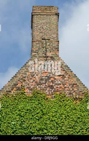 Ciminiera in mattoni umwuchert da edera, Città Vecchia, Patrimonio culturale mondiale dell UNESCO Brugge, Fiandre, in Belgio, Europa Schornstein un Foto Stock