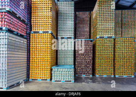 Stati Uniti d'America,Florida,Tampa,pattini di birra in un magazzino, un sigaro birreria della città Foto Stock