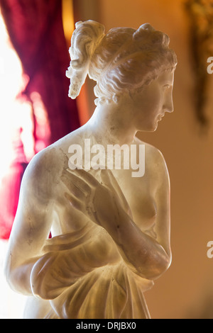 Stati Uniti d'America,Florida,Sarasota, John e Mable Ringling Museum of Art,Ca d'Zan Foto Stock