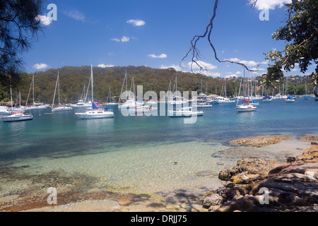 Barche nel porto nord Fairlight Manly Sydney New South Wales NSW Australia Foto Stock