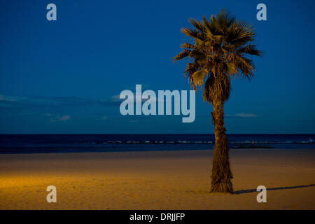 La Barceloneta, Barcelona, Spagna-27th gennaio, 2014. Spiaggia di Barceloneta a Barcellona. Il vento forte e chiaro ambiente all'alba di Barcellona. Credito: Jordi Boixareu/Alamy Live News Foto Stock