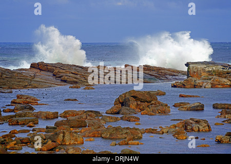 Mare tempestoso con umore temporale al mattino con il Capo di Buona Speranza, Capo di Buona Speranza, west cape, Western Cape, Sud Afr Foto Stock